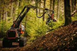 Holzvollernter fällt einen Baum